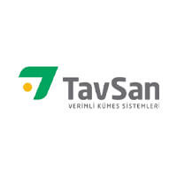 35tavsan