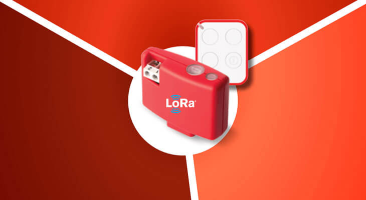 nice lora